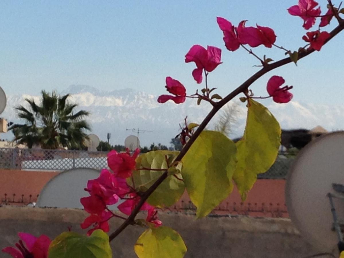 Dar Dades Vakantiehuis *